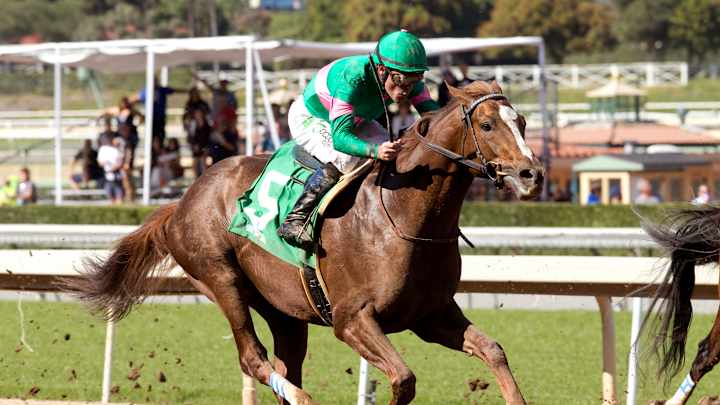 Zenyatta's foal finishes 3rd in career debut at Santa Anita Zenyatta's foal finishes 3rd in career debut at Santa Anita
