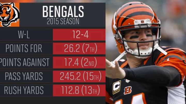 Bengals Playoff Preview