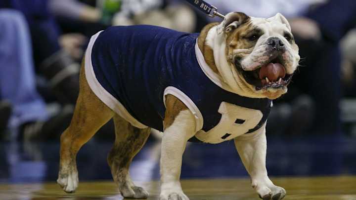 Look: Butler’s adorable mascot wasn’t allowed at the NCAA tournament
