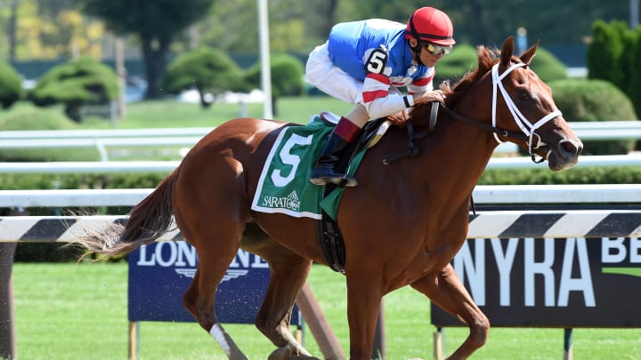 Horse named for Mets' Syndergaard wins Funny Cide Stakes Horse named for Mets' Syndergaard wins Funny Cide Stakes