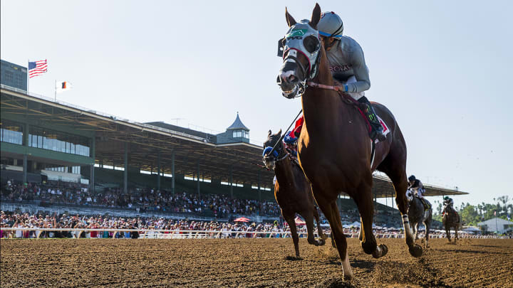 'He's quite a horse': Behind the rise, fall, and now rebirth of California Chrome