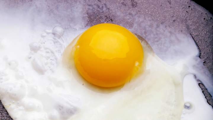 Minor league team honors breakfast sandwich with bobbleheads Minor league team honors breakfast sandwich with bobbleheads