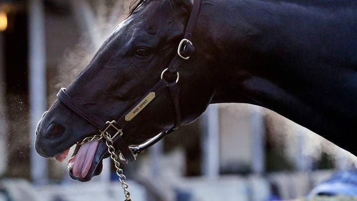 Nyquist not the buzziest of favorites for Kentucky Derby
