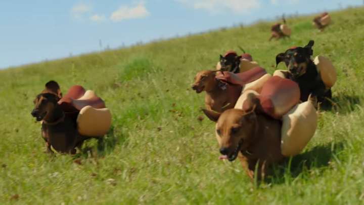 Watch: Heinz unleashes a stampede of wiener dogs in Super Bowl ad
