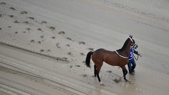The Latest: Barbaro's owners have horse die on Preakness Day