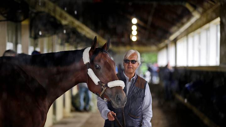 PHOTO GALLERY: American Pharoah's path to Triple Crown try
