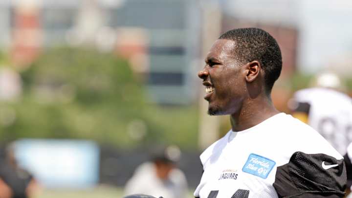Jaguars' Marqise Lee embraces 'albino tiger' comparison
