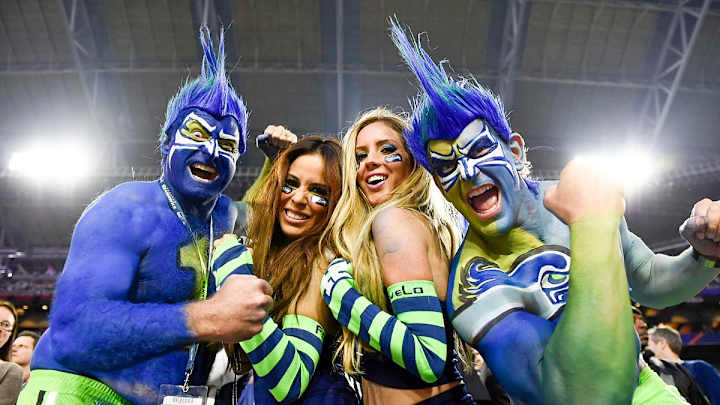 Fans at Super Bowl XLIX