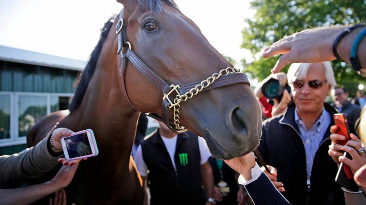 Triple Crown winner American Pharoah jogs at Churchill Downs