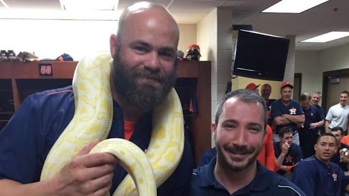 Astros brought a giant snake into the clubhouse Astros brought a giant snake into the clubhouse
