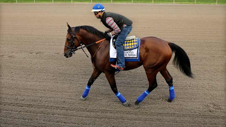 Triple Crown winner American Pharoah tours Monmouth Park