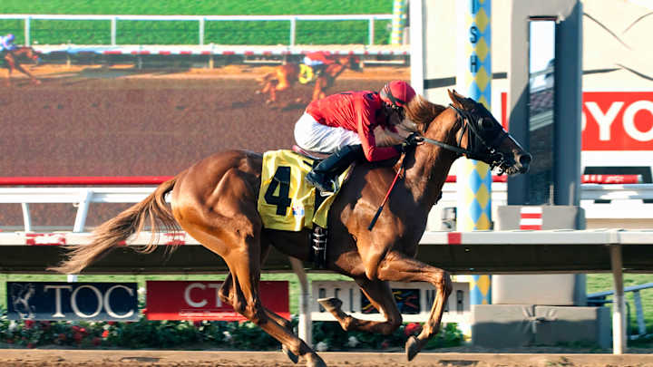 Smokey Image wins I'm Smokin Stakes at Del Mar