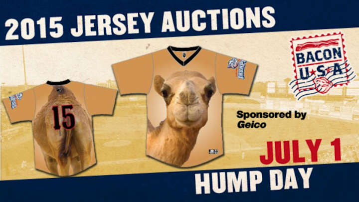 Minor league team will wear 'Hump Day' camel jerseys Minor league team will wear 'Hump Day' camel jerseys