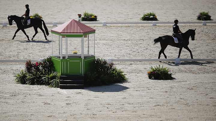 Rio Olympic official: 'No risk' of glanders at equestrian