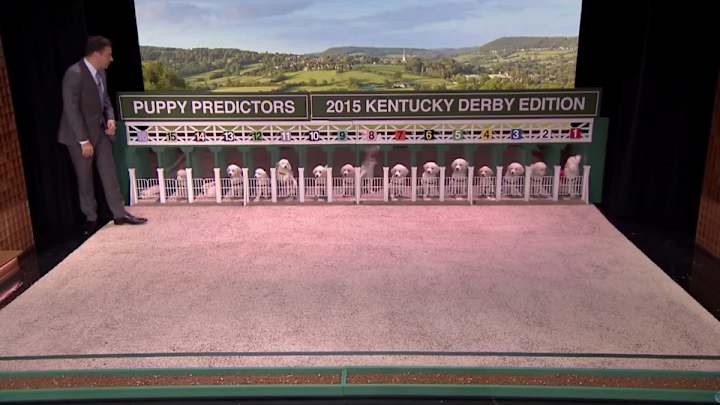 Jimmy Fallon predicts Kentucky Derby with puppies
