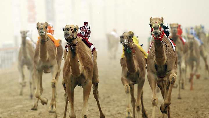 Wacky Sports Photos of the Week (April 1-7)