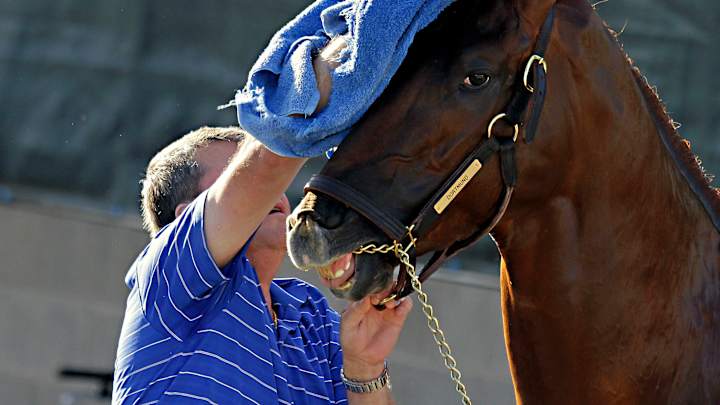 Tall Dortmund will try to dunk Kentucky Derby field