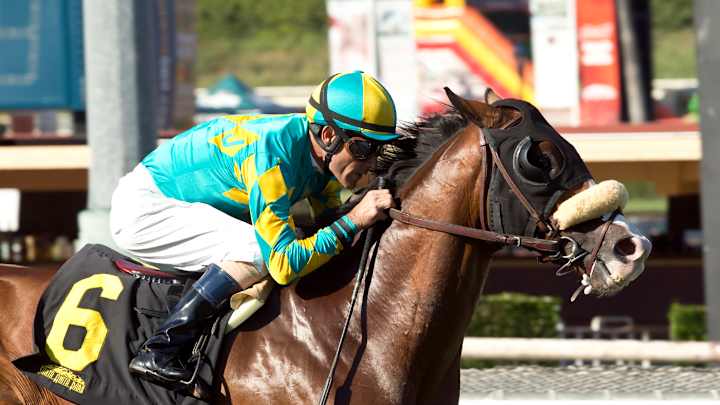 Wild Dude rallies to win Santa Anita Sprint by a neck