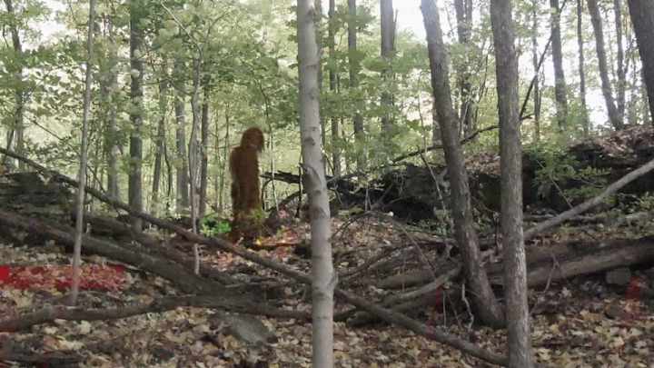 Meet the league's newest prospect: Sasquatch Meet the league's newest prospect: Sasquatch