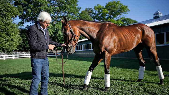 Owner: Plans are in works for American Pharoah's next start