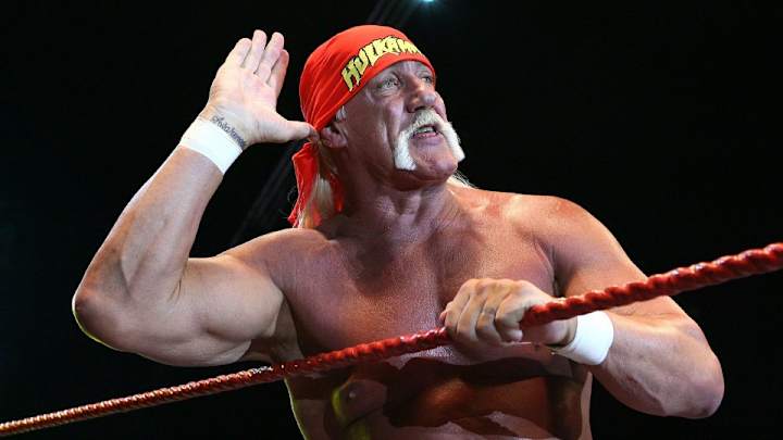 Scott Steiner issues a $1 million challenge to Hulk Hogan Scott Steiner issues a $1 million challenge to Hulk Hogan