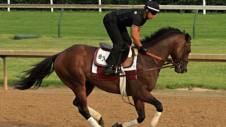 Hall of Famer Stevens looking to turn tables in Preakness