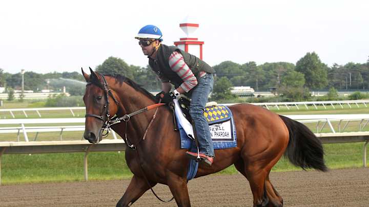 American Pharoah 1-5 favorite for Haskell in 8-horse field
