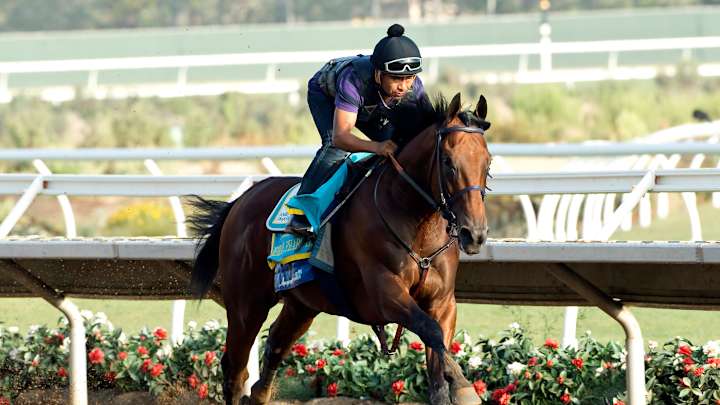 Triple Crown winner works at Del Mar; next race undecided Triple Crown winner works at Del Mar; next race undecided
