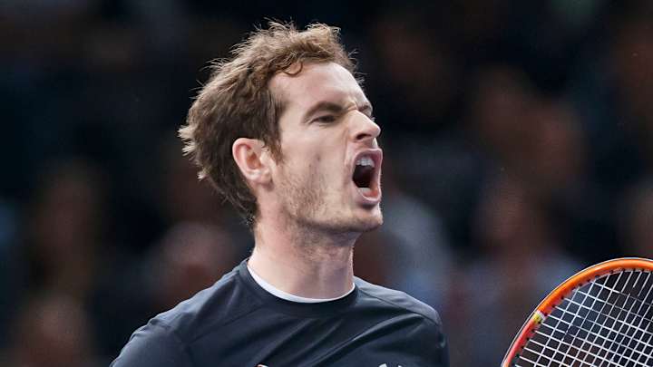Andy Murray beats David Ferrer to reach Paris Masters final