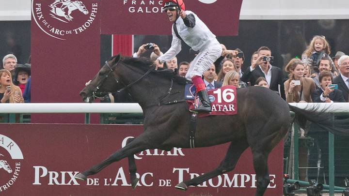 Golden Horn wins Prix de l'Arc de Triomphe