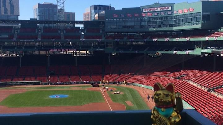 Nationals fans rip up SI cover, leave good luck cat at Fenway Park Nationals fans rip up SI cover, leave good luck cat at Fenway Park