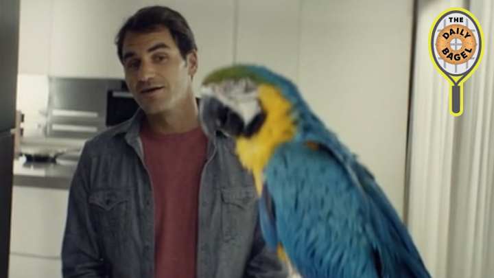 Daily Bagel: Federer tries to make a parrot say "Roger"