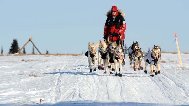 Iditarod veteran Aliy Zirkle seeks title after three second place finishes