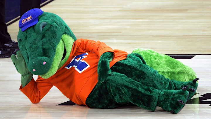 Florida Gators mascot tries out for kicking spot on football team