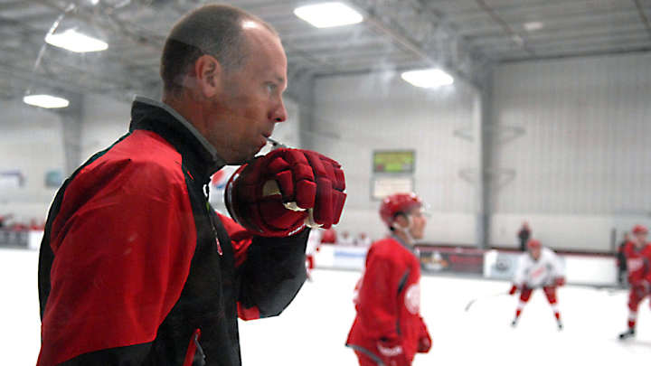 Detroit Red Wings 2015-16 preview