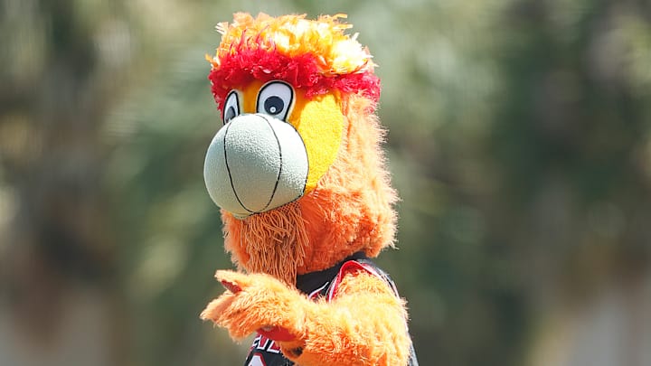 Teacher sues Miami Heat after team mascot allegedly injures her