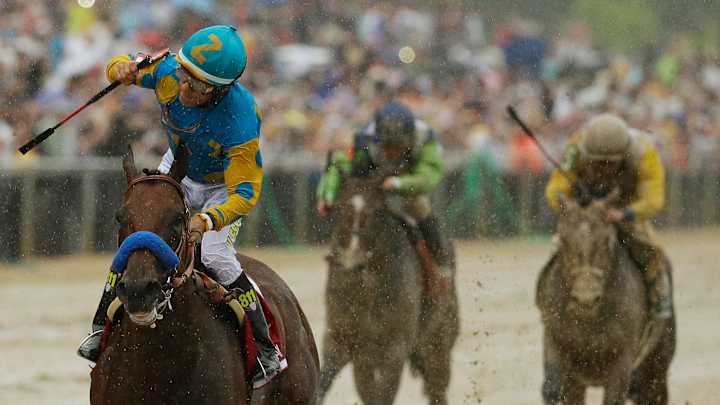 What was learned from American Pharoah's Preakness victory