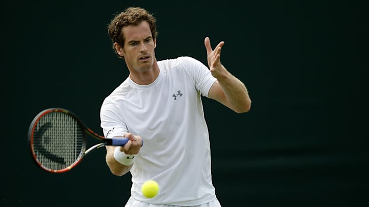 Wimbledon draw: Potential Murray-Nadal match; Djokovic avoids Big Four