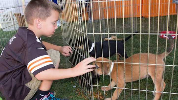 Over twenty-five puppies adopted at Browns training camp Over twenty-five puppies adopted at Browns training camp