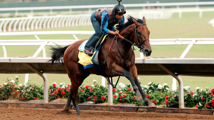 Triple Crown winner American Pharoah works at Del Mar