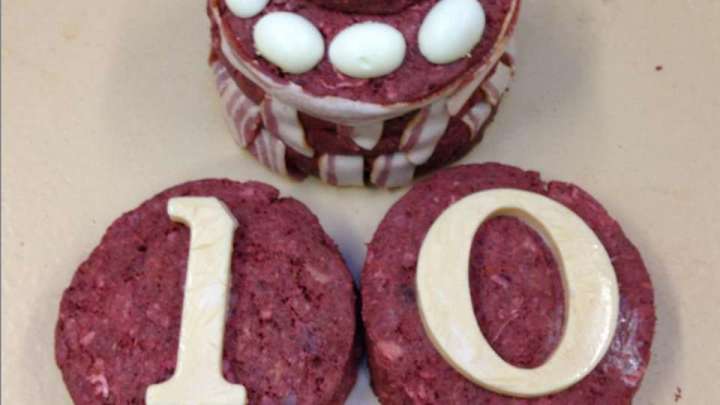 LSU's Mike the Tiger got a 10th birthday cake made of raw meat LSU's Mike the Tiger got a 10th birthday cake made of raw meat
