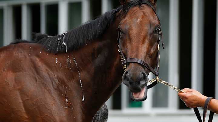 Triple Crown hopeful American Pharoah is Belmont favorite
