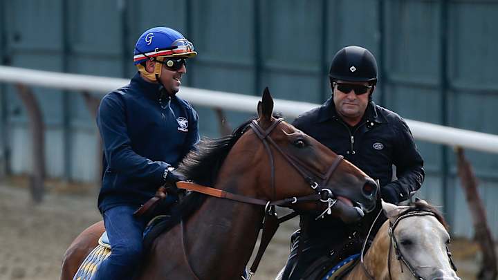 American Pharoah gets 1st look at Belmont Park