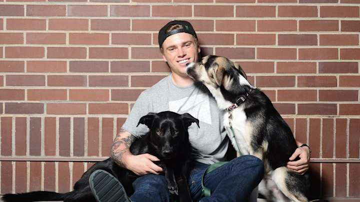 Catching up with the dogs of Sochi