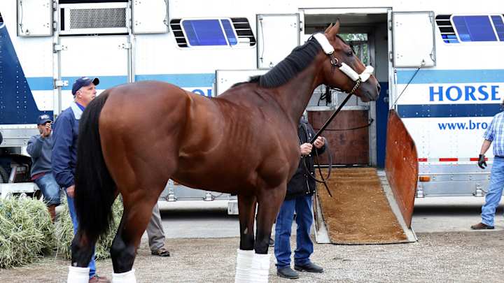 American Pharoah arrives in New York for Triple Crown try