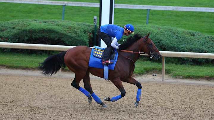 To win Belmont, American Pharoah will have to beat fresh horses