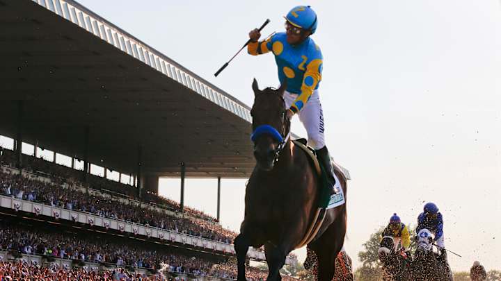 Tuning up for American Pharoah's next race in the Haskell
