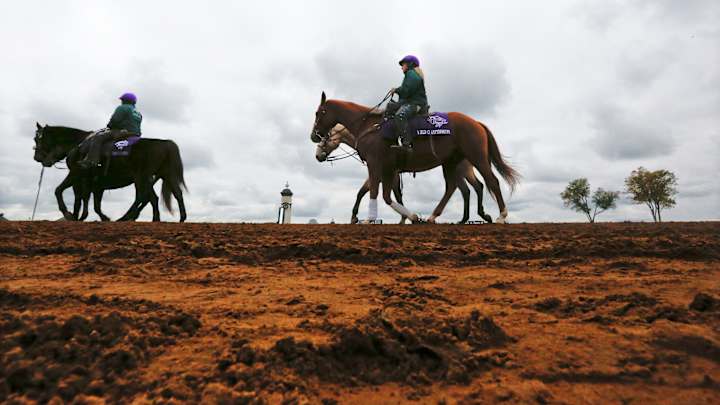 Favored Liam's Map wins Breeders' Cup Dirt Mile