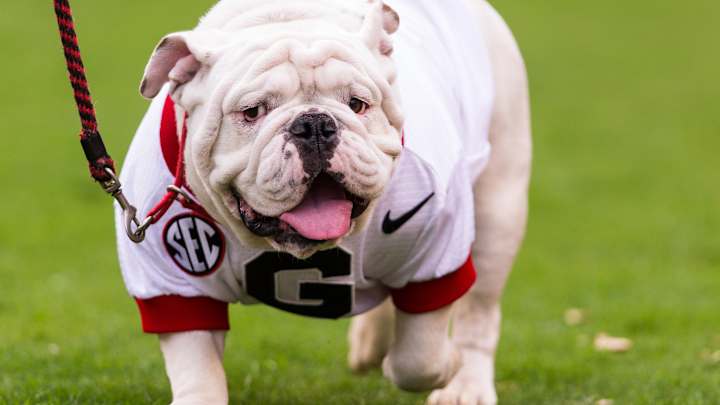 Georgia mascot Uga IX to retire