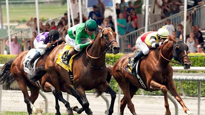 Crucero wins San Juan Capistrano Stakes at Santa Anita